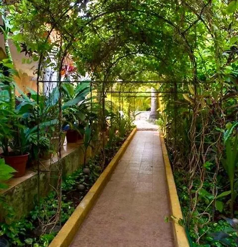 Your Mexican Hacienda Swimming Pool Jacuzzi & Spa Pousada